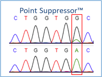 PointSupressor Wild Type Suppression Example Data